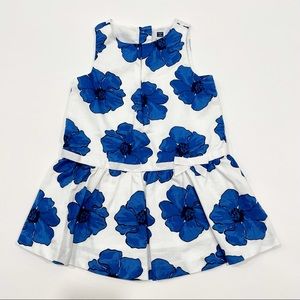 Janie and Jack dress